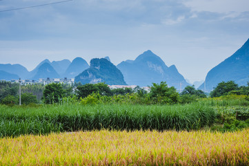 万泉达净水器怎么样_1